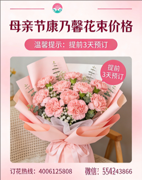 绵阳安州区花店母亲节康乃馨花束