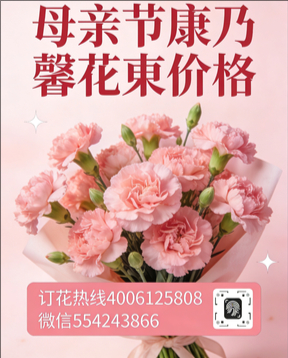 绵阳安州区花店母亲节康乃馨花束